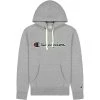 Champion Hooded Sweatshirt Gray