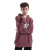 Bluza Męska Adidas Originals Adicolor Classics Trefooil Hoody HE9498 S Pink