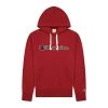 Champion Hooded Sweatshirt Red