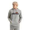 Ellesse Hoodie 5059335913535 Gray
