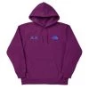 The North Face HOODIE Purple